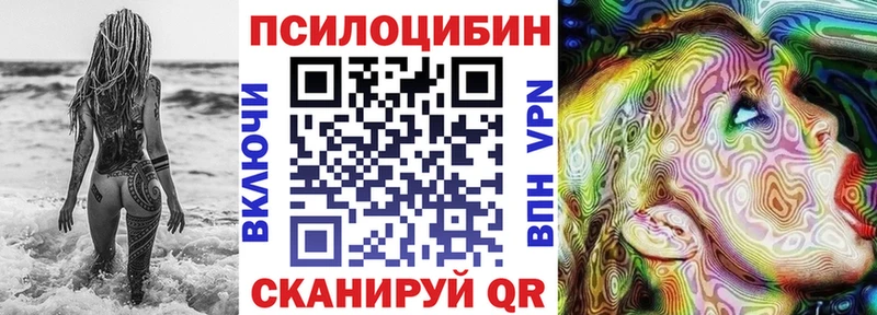 blacksprut ONION  купить   Льгов  Галлюциногенные грибы Psilocybine cubensis 